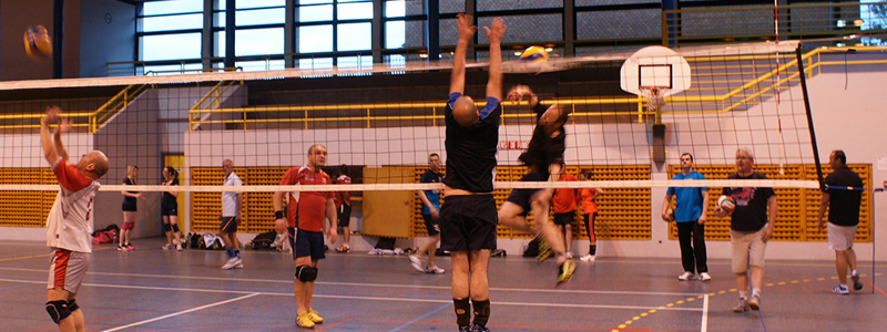 Volley Ball
